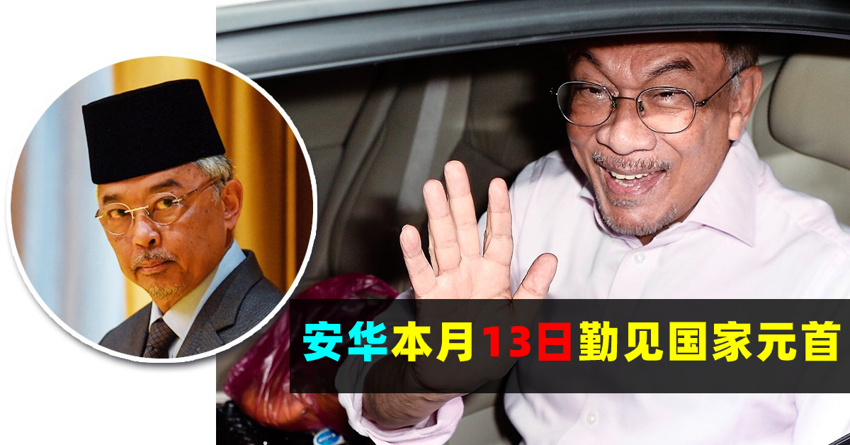 元首陛下御准下周二接见，安华将证明掌握多数支持